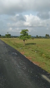 Factory / Industrial Building for Sale in Chandankiyari, Bokaro (475 Acre)