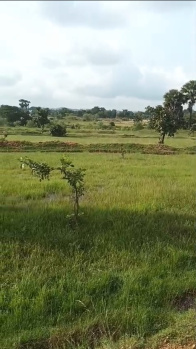 Property for sale in Chandankiyari, Bokaro