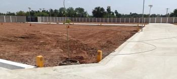 Residential Plot for Sale in Panjapur, Tiruchirappalli (1800 Sq.ft.)