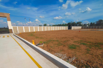 2000 Sq.ft. Residential Plot for Sale in Panjapur, Tiruchirappalli