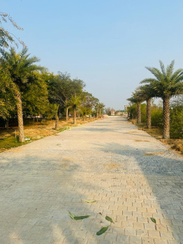 Agricultural/Farm Land for Sale in Tonk Road, Jaipur (1200 Sq. Yards)