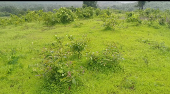 Agricultural/Farm Land For Sale In Neral, Raigad (7 Acre)
