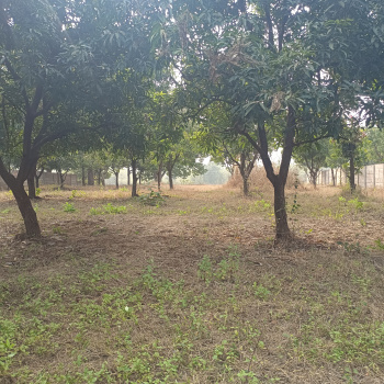 Property for sale in Neral, Raigad