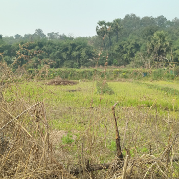 Residential Plot for Sale in Neral, Raigad (3.5 Acre)