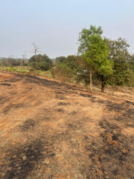 Agricultural/Farm Land for Sale in Neral, Raigad (38 Guntha)