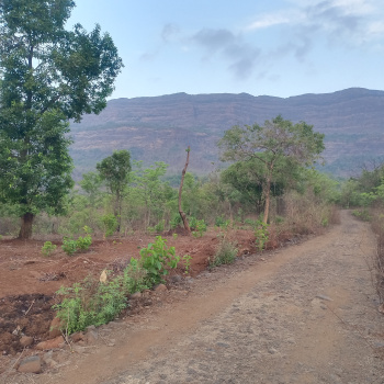 Agricultural/Farm Land for Sale in Karjat, Raigad (2 Acre)