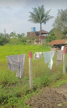 Agricultural/Farm Land for Sale in Neral, Raigad (24 Guntha)