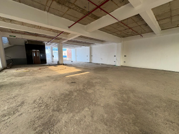 Factory / Industrial Building for Sale in Phase I, Gurgaon (17000 Sq.ft.)