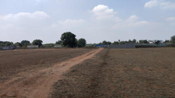 Property for sale in Ammayappa Nagar, Tiruchirappalli