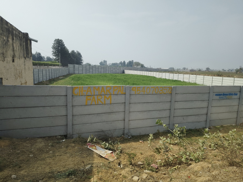 Industrial Land / Plot For Sale In Sikri, Faridabad (1210 Sq. Yards)