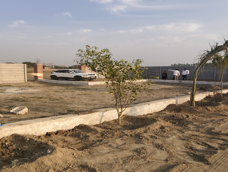Agricultural/Farm Land For Sale In Manjhawali Village, Faridabad (1210 Sq. Yards)