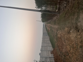 3 BHK Farm House for Sale in Manjhawali Village, Faridabad (1800 Sq. Yards)