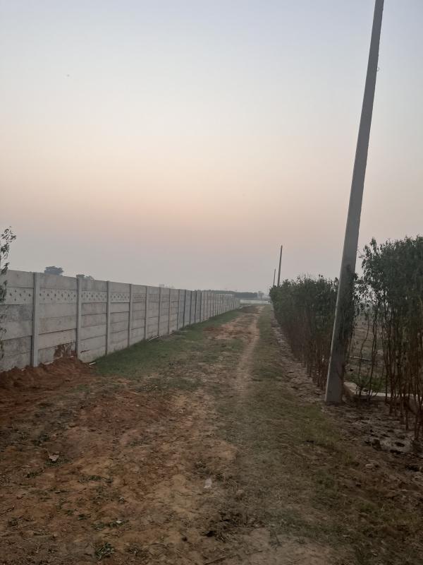 3 BHK Farm House For Sale In Manjhawali Village, Faridabad (1800 Sq. Yards)