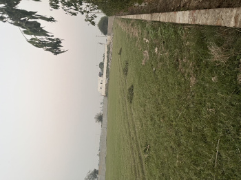 Property for sale in Manjhawali Village, Faridabad