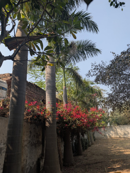 Farm House Land with Gated Boundry