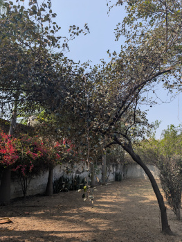 Property for sale in Sector 61, Faridabad