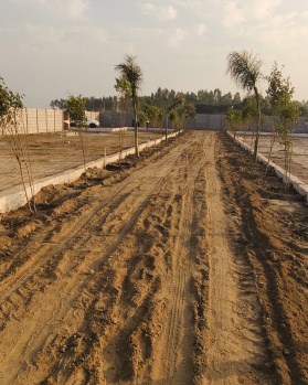 Property for sale in Chirsi, Faridabad