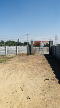 Farm House for Sale in Alipur, Faridabad (1083 Sq. Yards)