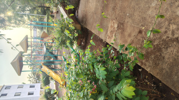 Property for sale in Shikherwadi, Nashik