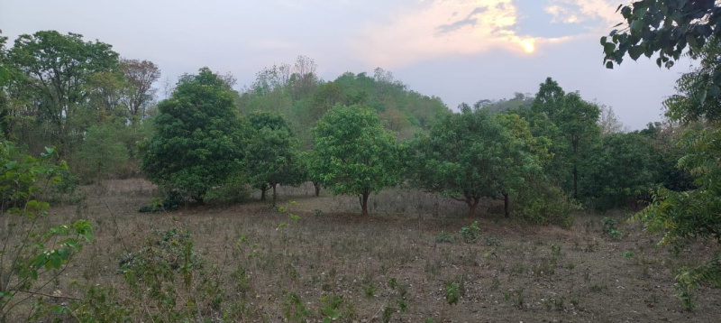 Beautiful 1.42 Acre Farm Land For Sale Near Dangaraipada, Bhawanipatna