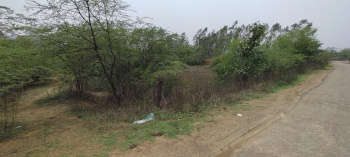 Prime Roadside 10 Dismil Plot for Sale near Reliance Jio Petrol Pump, Bhawanipatna