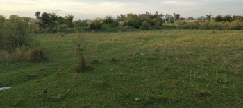 10 dismil general plot for Sale