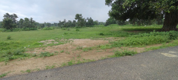 Residential Plot for Sale in Bhawanipatna, Kalahandi (27 Dismil)