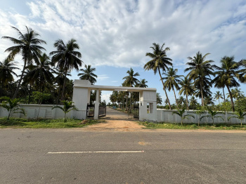 Commercial plot on 100 ft mukkam bhogapuram airport