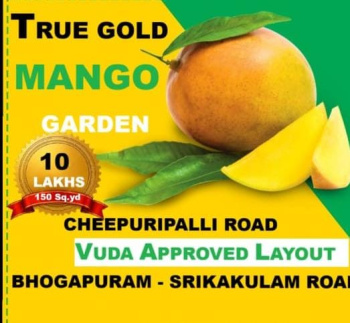 VMRDA plots at Chipurupalli  Rs 6500 per square yard( final price)