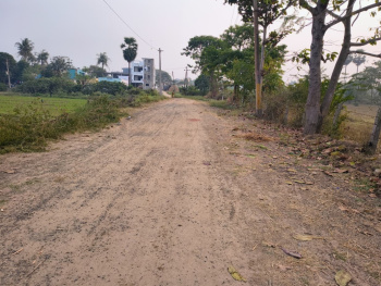Tagarapuvalsa plots Rs 12500 per square yard