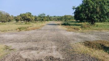 Commercial plots at Jami , Vizianagaram