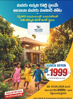 Rs 2 lakh  ( 100 sq yards) Chipurupalli road