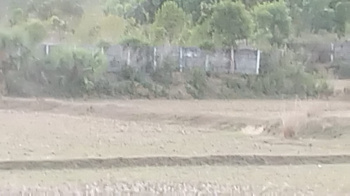 Rs 12000 per sq yd ( commercial plot ) Jami