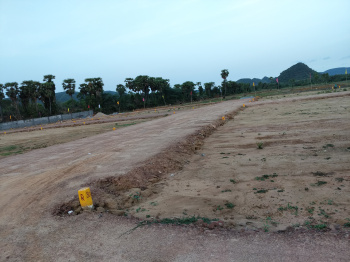 Rs 12000 per square yard at Chintalapalem , Pendurti