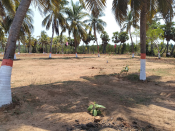 Property for sale in Chintapalle, Visakhapatnam