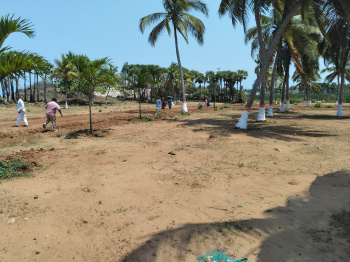 Property for sale in Chintapalle, Visakhapatnam