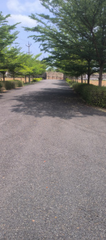 Rs 15000 per square yard ( VMRDA plot) at Jonnada