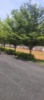 Property for sale in Jonnada, Visakhapatnam