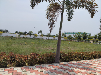 Property for sale in Chelluru, Vizianagaram