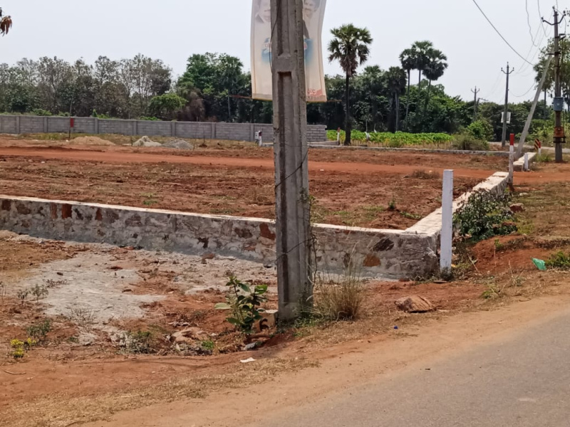 Rs 8500 Per Square Yard At Bhogapuram , Pusapati