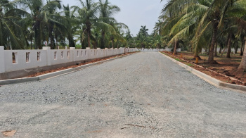 Rs 12000 per square yard at Konada Bhogapuram