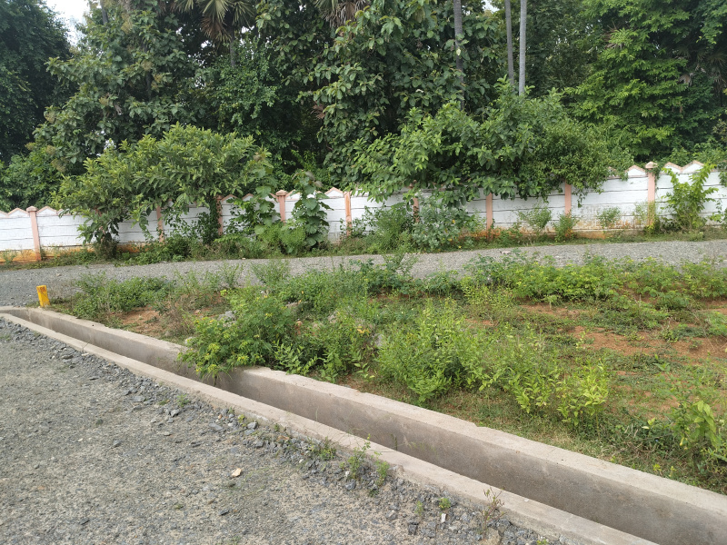 Rs 11000 Per Square Yard At Revidi Tagarapuvàlasa