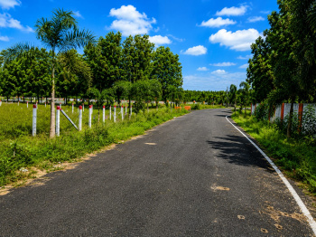 Commercial plot for sale at Bhogapuram