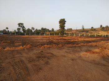 Rs 11000 per square yard at  polipalli Tagarapuvalasa