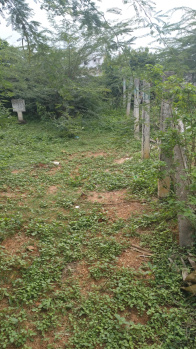 Property for sale in Tagarapuvalasa, Visakhapatnam