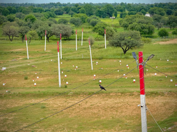 Residential Plot for Sale in Khatu, Sikar (100 Sq. Yards)