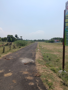 Property for sale in Pallikondapattu, Tiruvannamalai