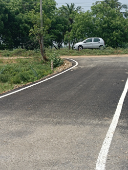 Property for sale in Thachanallur, Tirunelveli