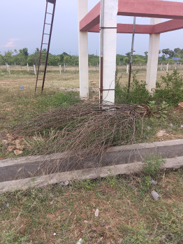 Property for sale in Veeravanallur, Tirunelveli