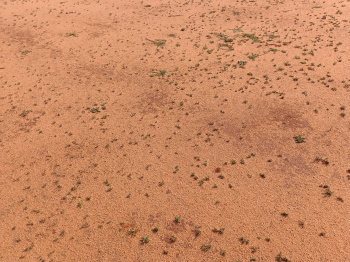 Property for sale in Ramayanpatti, Tirunelveli